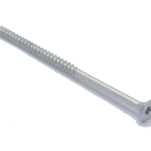 Peitpeakruvi, 6,0×100 Torx, ruspert 100 tk/pakk