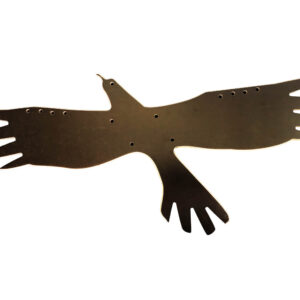 Linnutõrjekujud lindude kaitseks